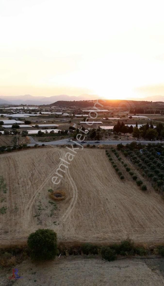 Menderes Sancaklı Satılık Bağ & Bahçe 6180 m2 TEK TAPU YATIRIMLIK TARLA DÜZ ZEMİN ANA CADDEYE CEPHE