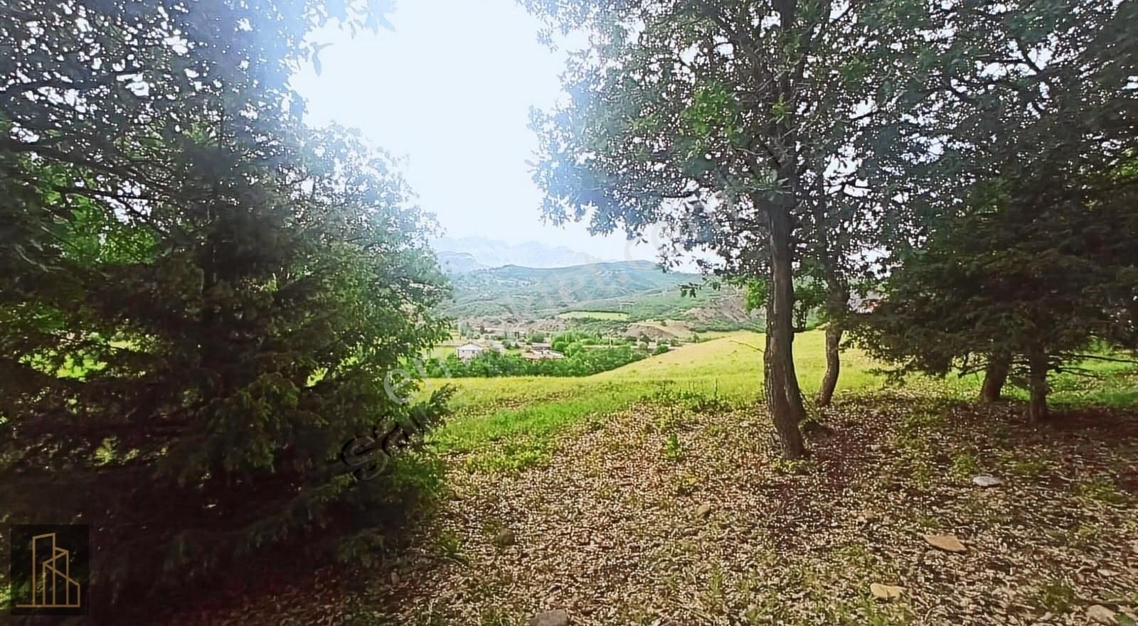 Tunceli Merkez İsmet İnönü Satılık Konut İmarlı TUNCELİ MERKEZ İSMET İNÖNÜ MAHALLESİ TEK TAPU ARSALAR