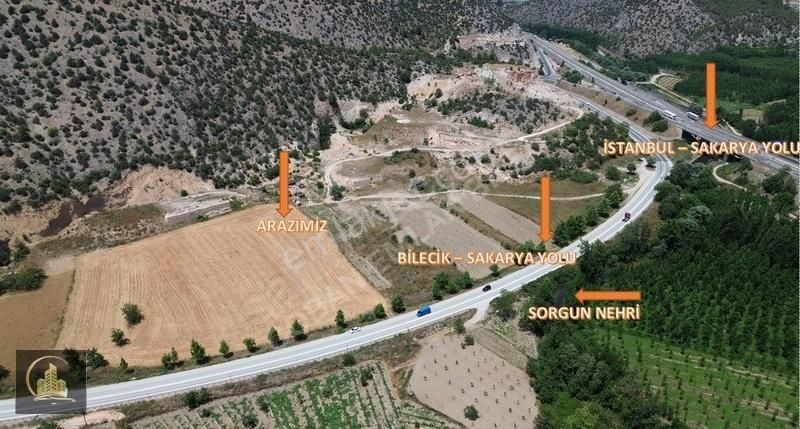 Bilecik Merkez Gülümbe Köyü (Gülümbe Mücavir Dışı) Satılık Bağ & Bahçe Çoban Emlak & Gayrimenkulden Vezirhan Yolu Üzerinde 638m² Bahçe