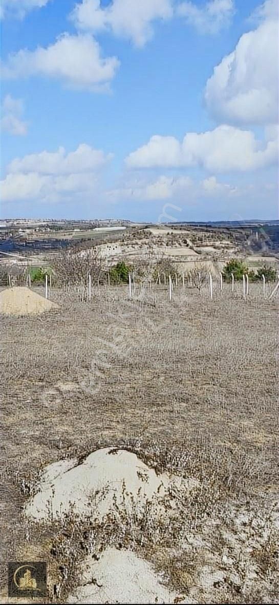 Taraklı Akçapınar Satılık Ticari İmarlı SAKARYA TARAKLI TAVUK ÇİFTLİĞİ İMARLI 37.000 METREKARE TEK TAPU