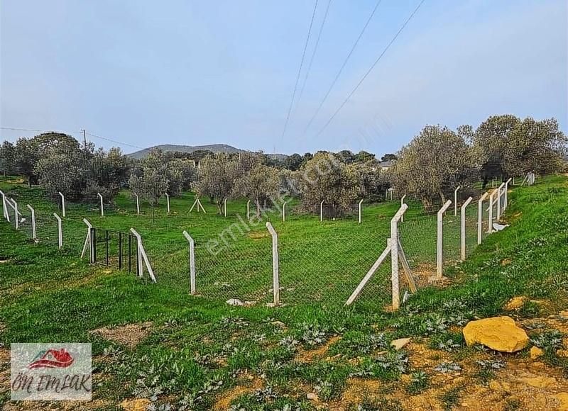 Burhaniye Pelitköy Satılık Konut İmarlı BURHANİYE PELİTKÖY KÖYİÇİ MÜSTAKİL VİLLALIK 490 M2 İMARLI ARSA!