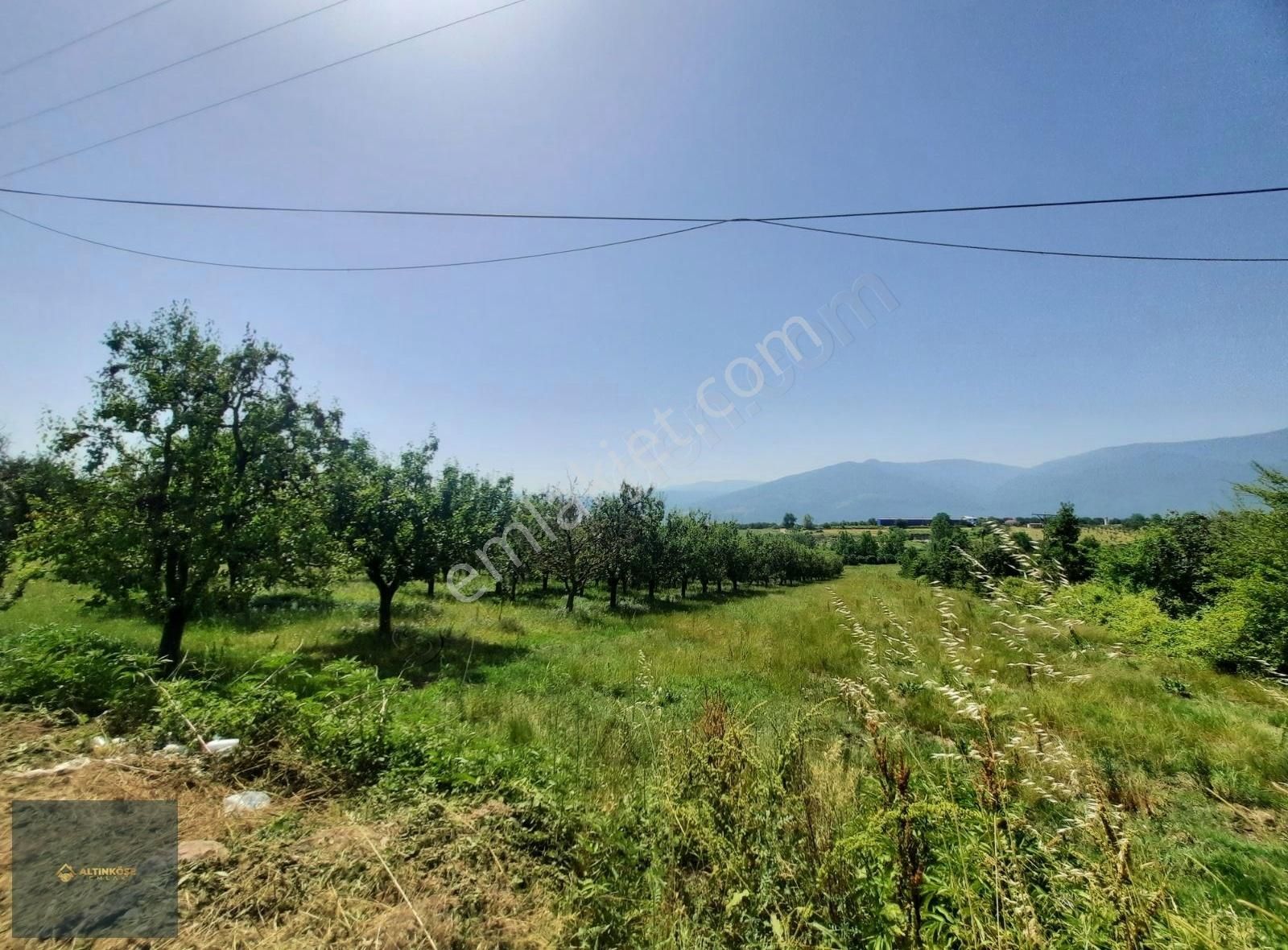 Sakarya Kocaeli Yoluna Cephe 4.130 M2 %5 İmarlı Yatırımlık Tarla - Görsel 5