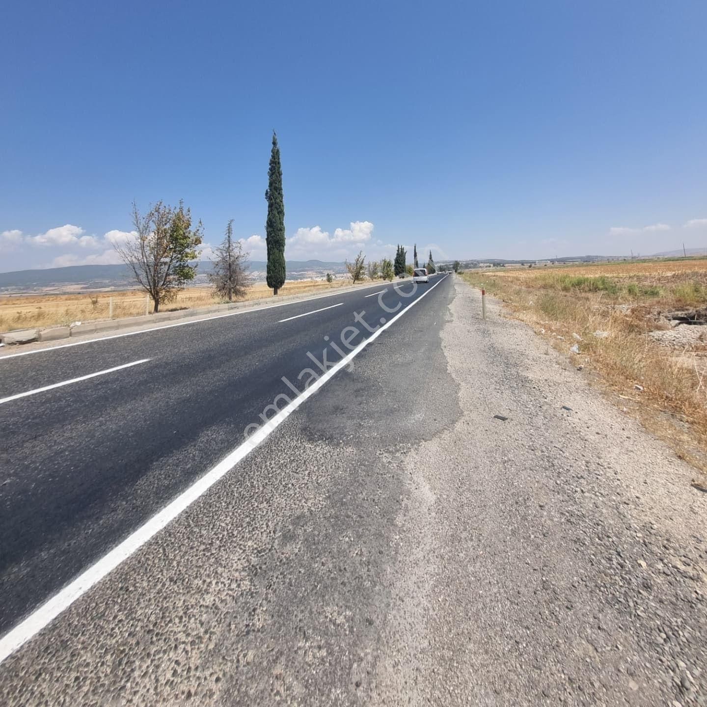 Pazarcık Nefsidoğanlı Satılık Tarla YOLA SIFIR SATILIK TARLA 