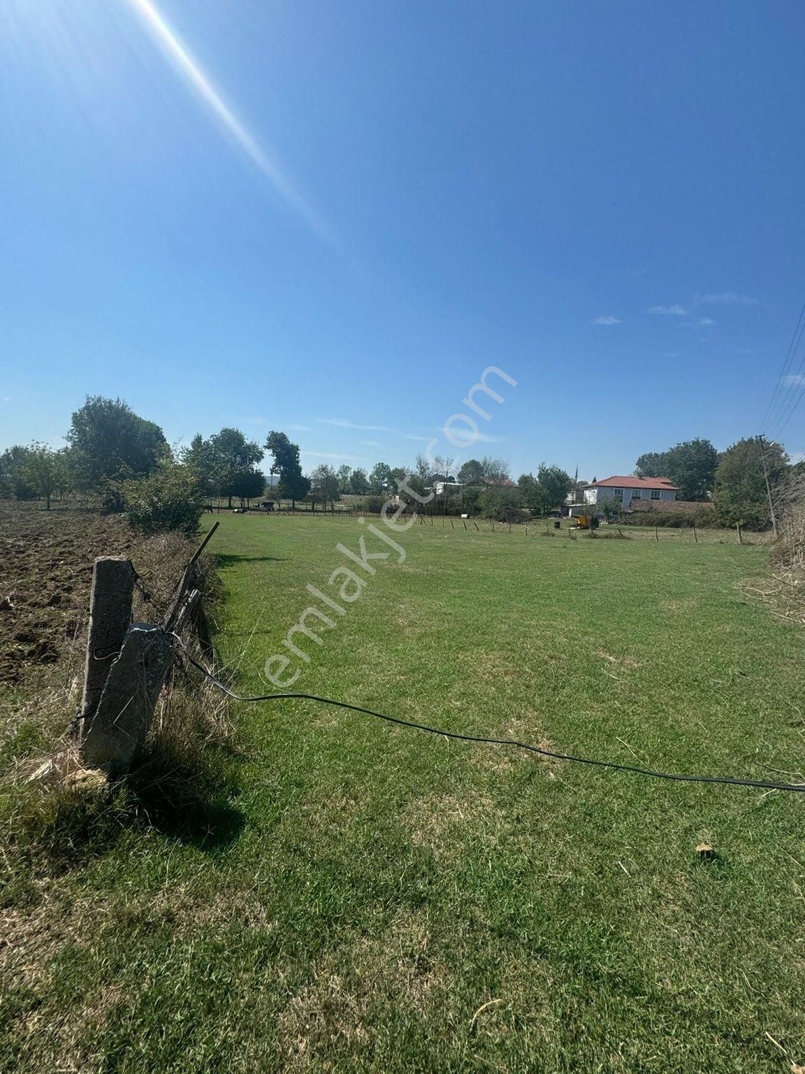 Kaynarca Duduköy Satılık Bağ & Bahçe Doğa Emlaktan Yatırımlık Arsa