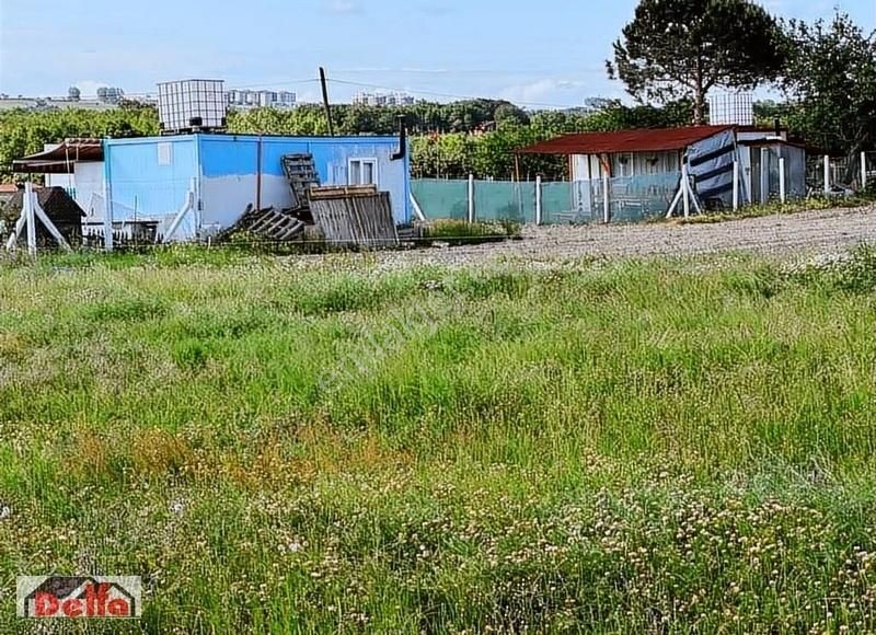 Silivri Büyük Çavuşlu Satılık Tarla DELFA EMLAKTA SATILIK SİLİVRİ BÜYÜKÇAVUŞLU 540mt TARLA DAN HİSSE