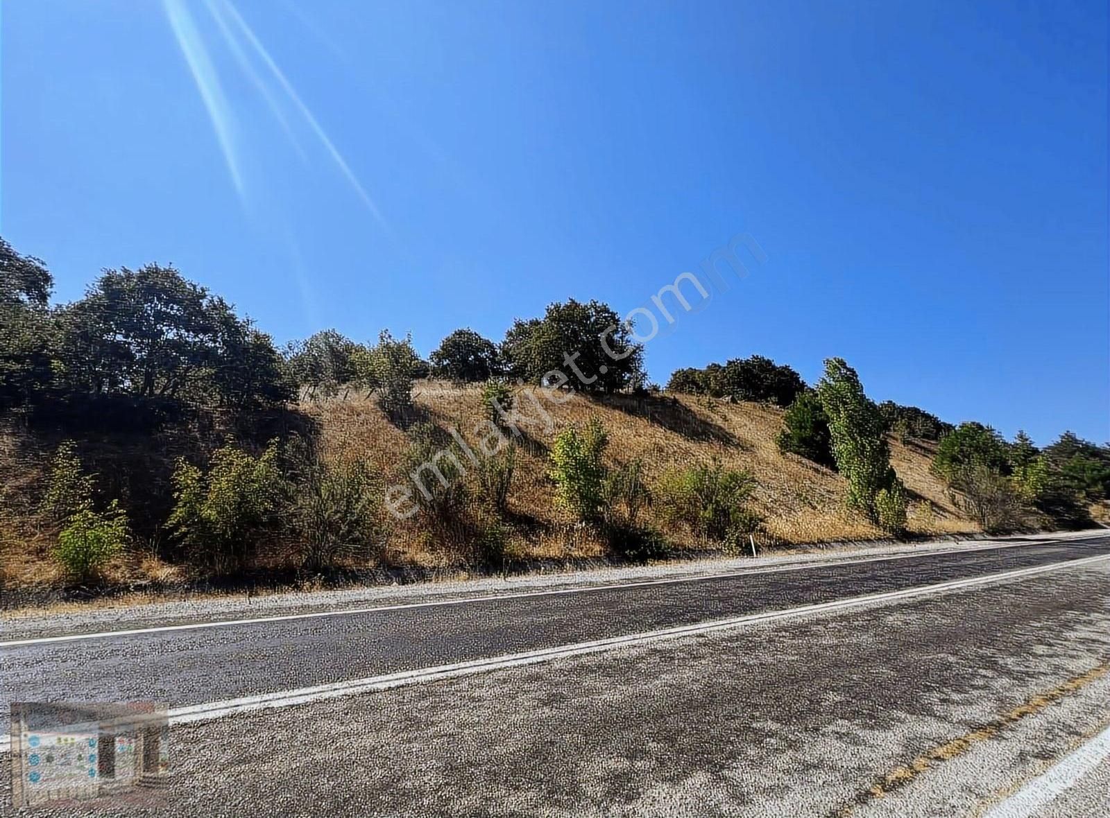 Çan Şerbetli Köyü Satılık Tarla ÇANAKKALE ÇAN ŞERBETLİDE ASFALT KENARI SATILIK TARLA