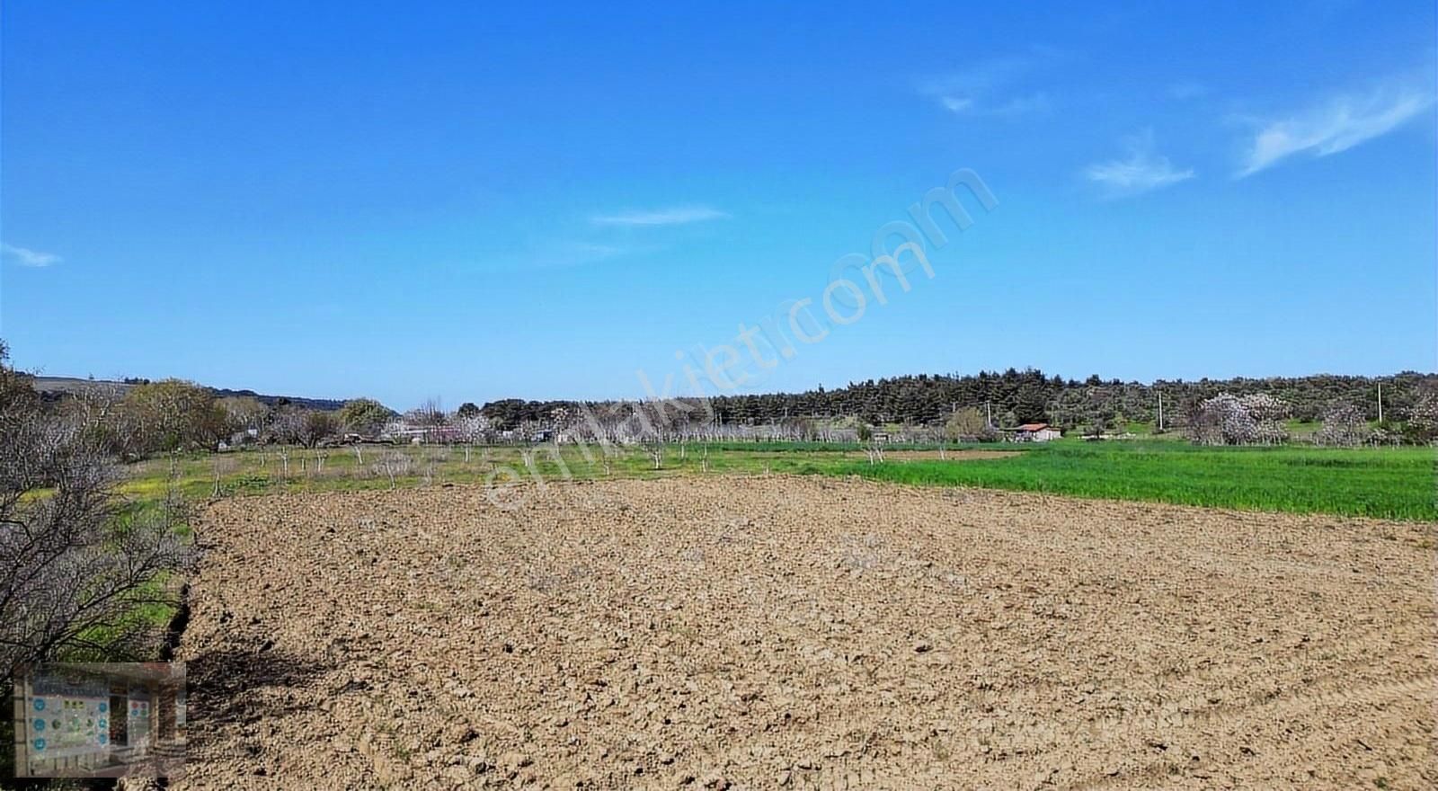 Çanakkale Merkez Dümrek Köyü Satılık Tarla ÇANAKKALE DÜMREK KÖYÜ SATILIK TARLA