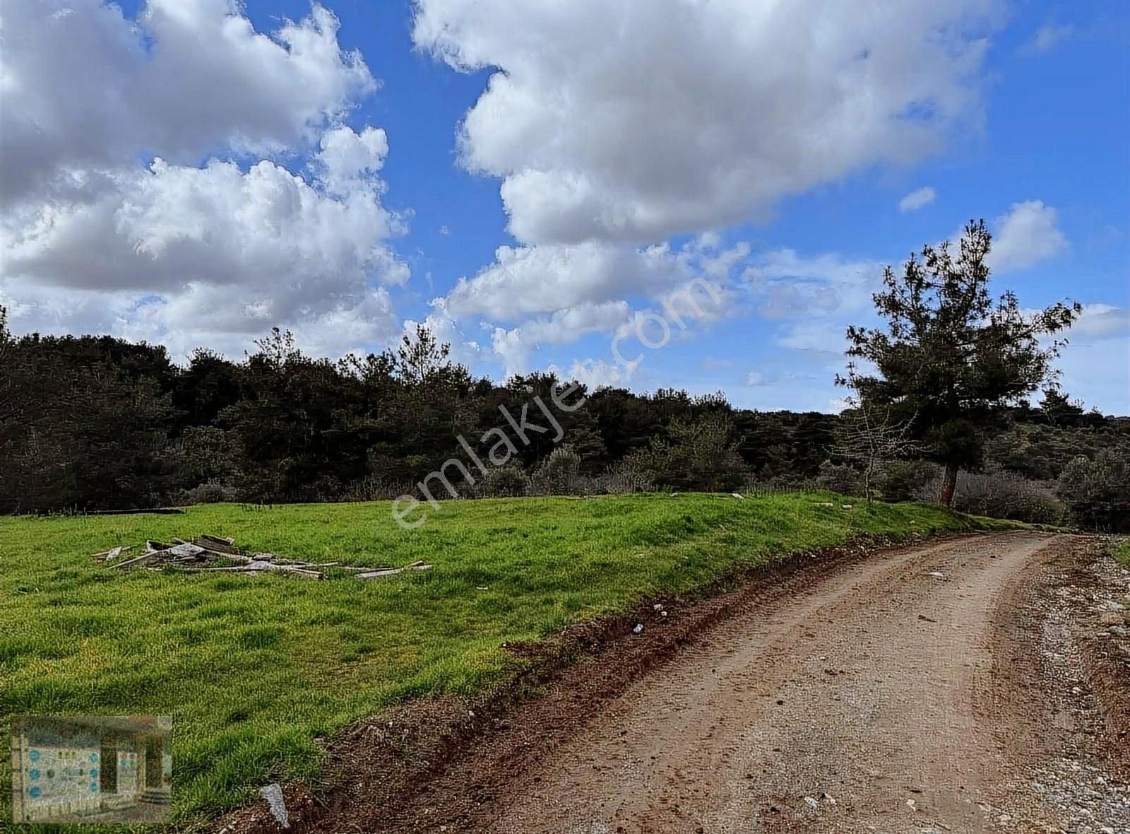 Çanakkale Merkez Dümrek Köyü Satılık Tarla Çanakkale merkez Dümrek köyü satılık tarla