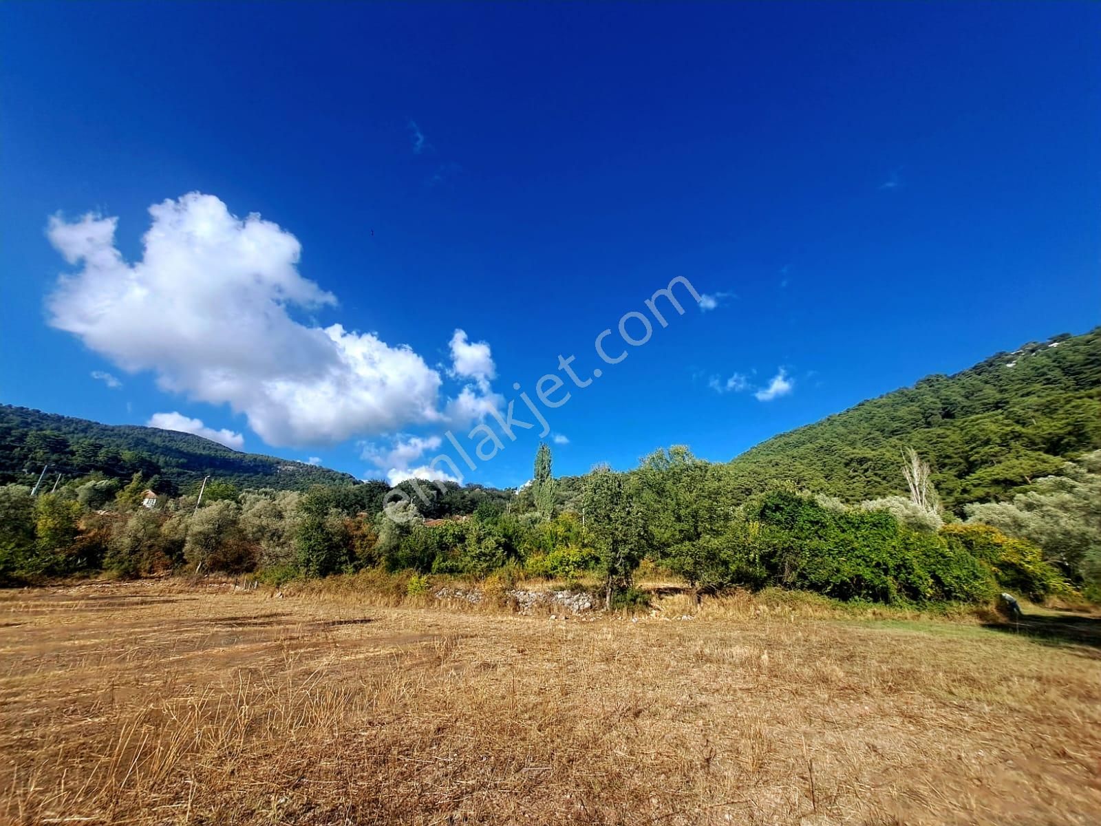 Fethiye Çenger Satılık Arazi  Stop’tan Çenger Köyünde 8913 m² Köy İçi İmarlı Satılık Arsa