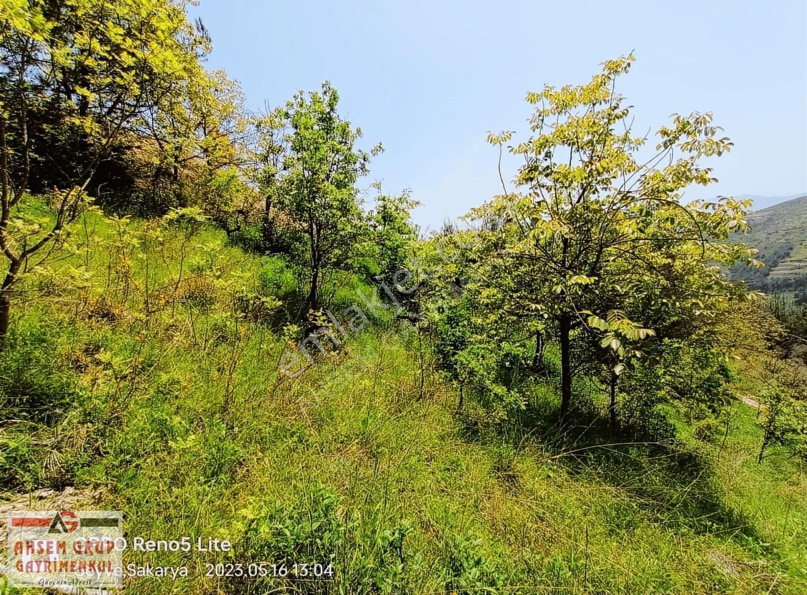 Geyve Köprübaşı Satılık Tarla GEYVE KÖPRÜBAŞI KÖYÜNDE 1979 M2 SATILIK ARSA