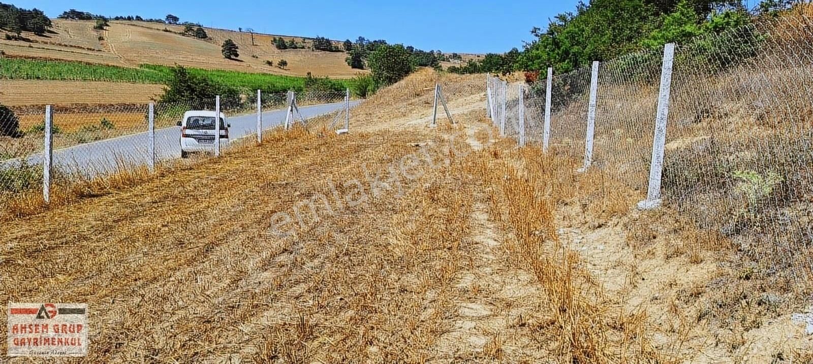 Geyve Karacaören Satılık Tarla GEYVE KARACAÖREN'DE ASFALT YOLA CEPHELİ 249 M2 SATILIK ARSA!