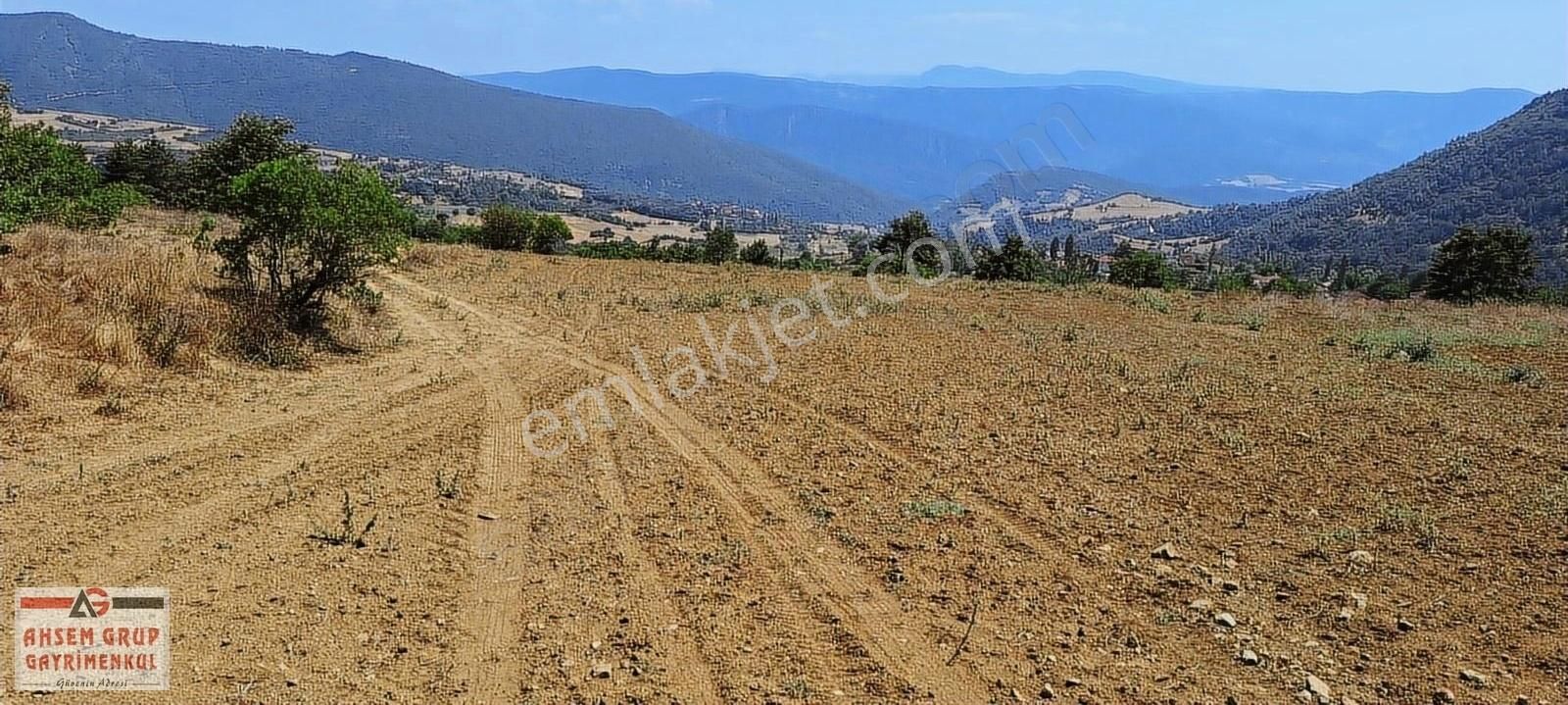 Geyve Karacaören Satılık Tarla GEYVE'DE YERLEŞİM YERİNE YAKIN YATIRIMLIK 1.703 M2 SATILIK ARSA