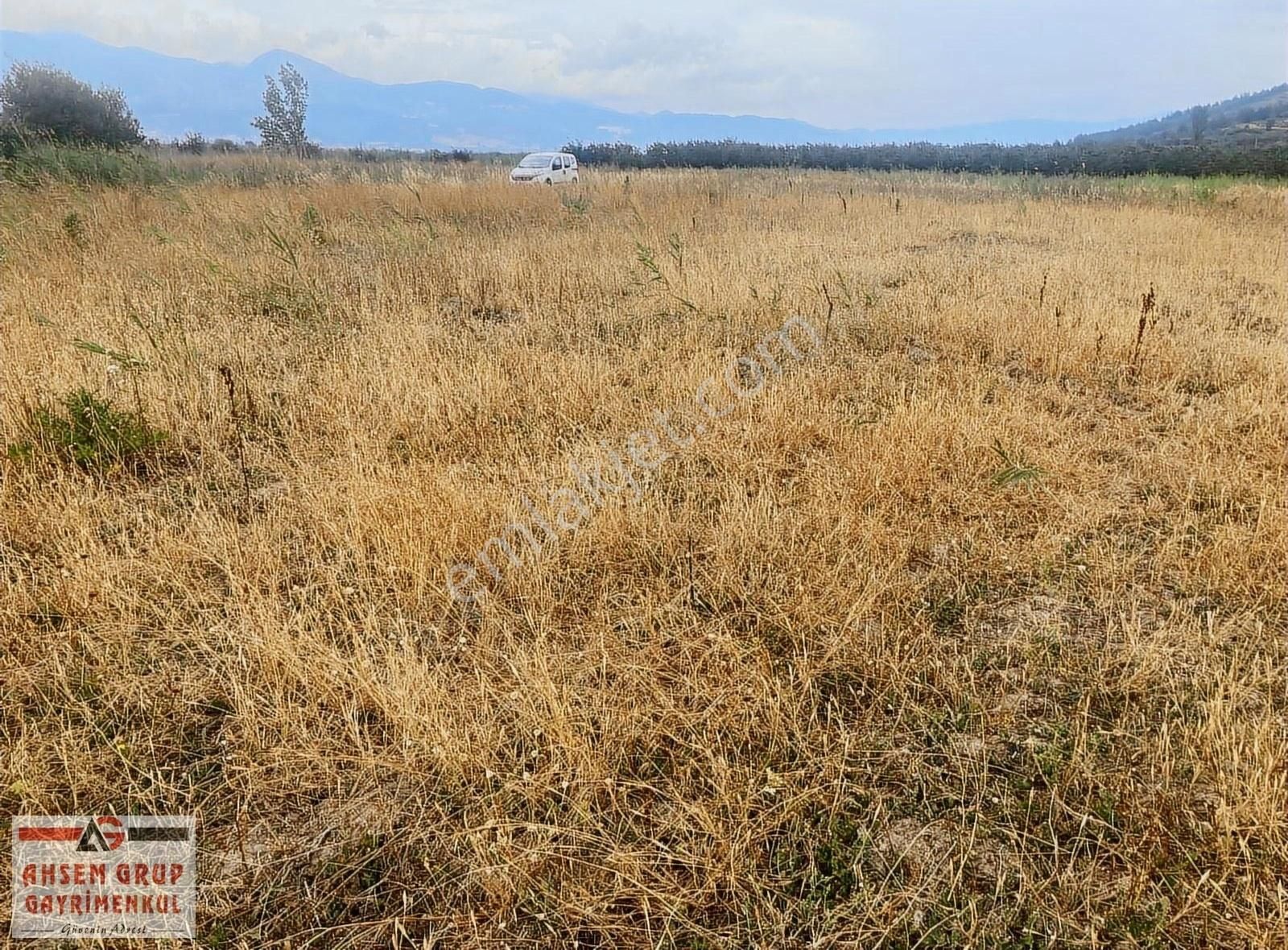 Geyve Kozan Satılık Tarla GEYVE KOZAN'DA EĞİMSİZ,MANZARALI YATIRIMLIK KELEPİR 2837 M2 ARSA