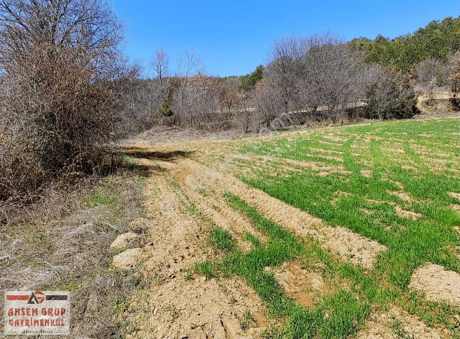 Gölpazarı Gözaçanlar Köyü Satılık Tarla Gölpazarı Gözaçanlarda Ormancepheli Yatırımlık 5.938 M2 Tarla