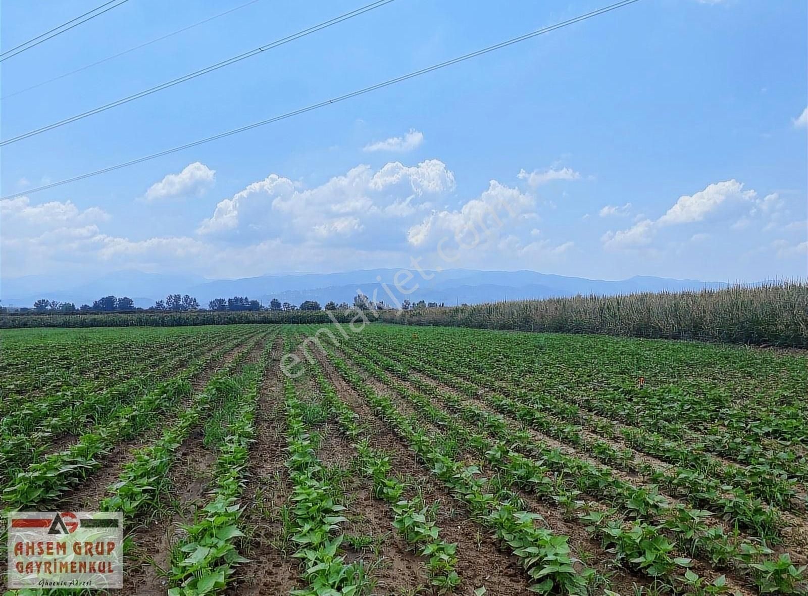 Erenler Alancuma Satılık Tarla ERENLER ALANCUMA'DA OSB'YE 1 KM MESAFEDE 5.397 M2 SATILIK ARSA