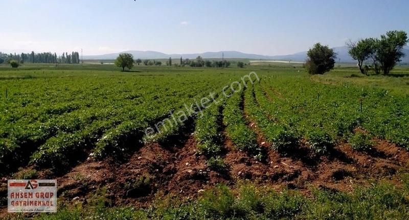 Sandıklı Alacami Köyü Satılık Tarla AFYONKARAHİSAR SANDIKLIDA YOL CEPHELİ 22 DÖNÜM FIRSAT ARSA!