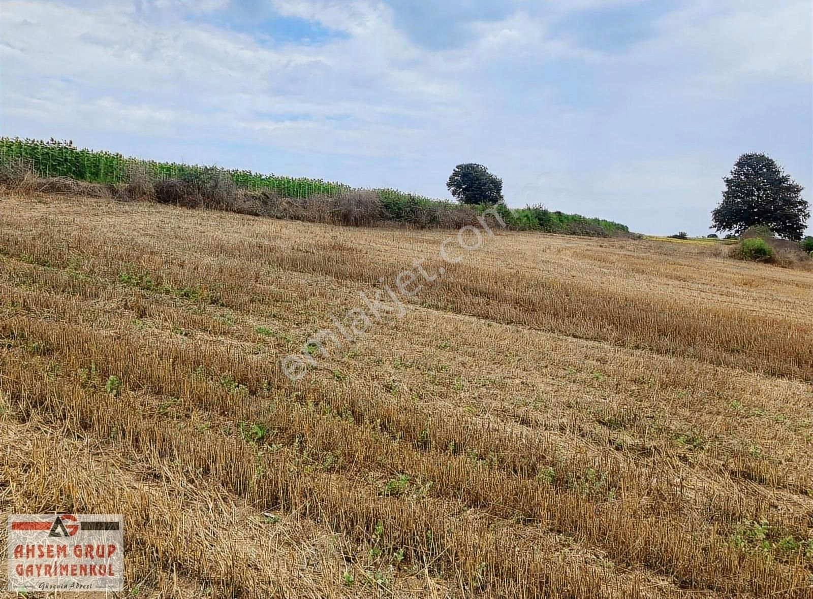 İhsaniye Eynehankuzviran Köyü (Öksüzler) Satılık Tarla AFYONKARAHİSAR'DA BÖLGEDEKİ EN UYGUN FİYATA 1315 M2 SATILIK ARSA