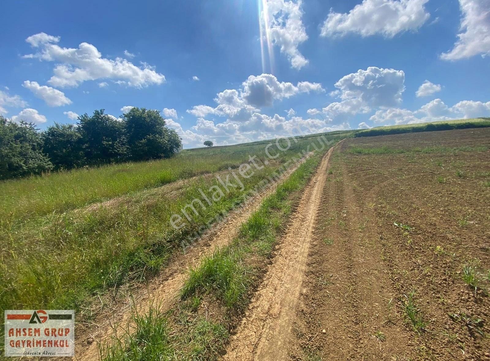 Söğütlü İmamlar Satılık Tarla İMAMLARDA YOL KENARI YERLEŞİM YAKINI 640 M2 SATILIK ARSA