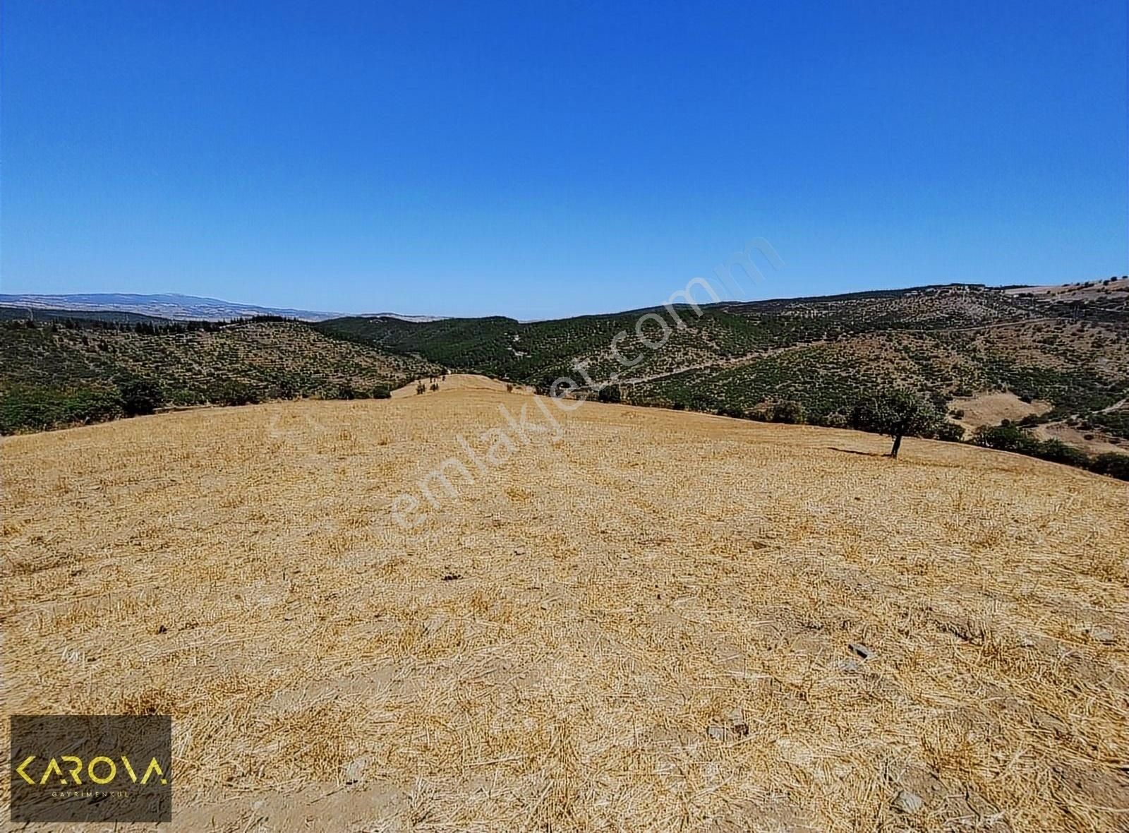 Altıeylül Gökçeören Satılık Tarla BALIKESİR MERKEZDE MÜSTAKİL TEK TAPU 31.100 M2 SATILIK TARLA