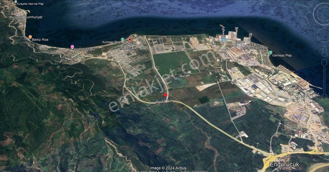 Gemlik Togg Yoluna Cephe 4061m² Satılık Zeytinlik - Görsel 3