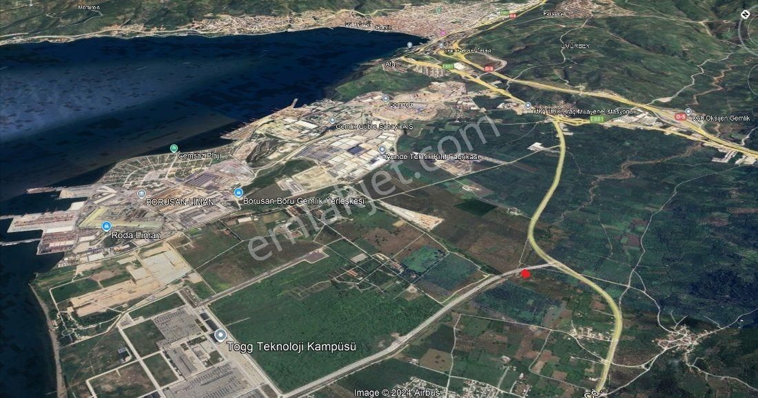 Gemlik Togg Yoluna Cephe 4061m² Satılık Zeytinlik - Görsel 4
