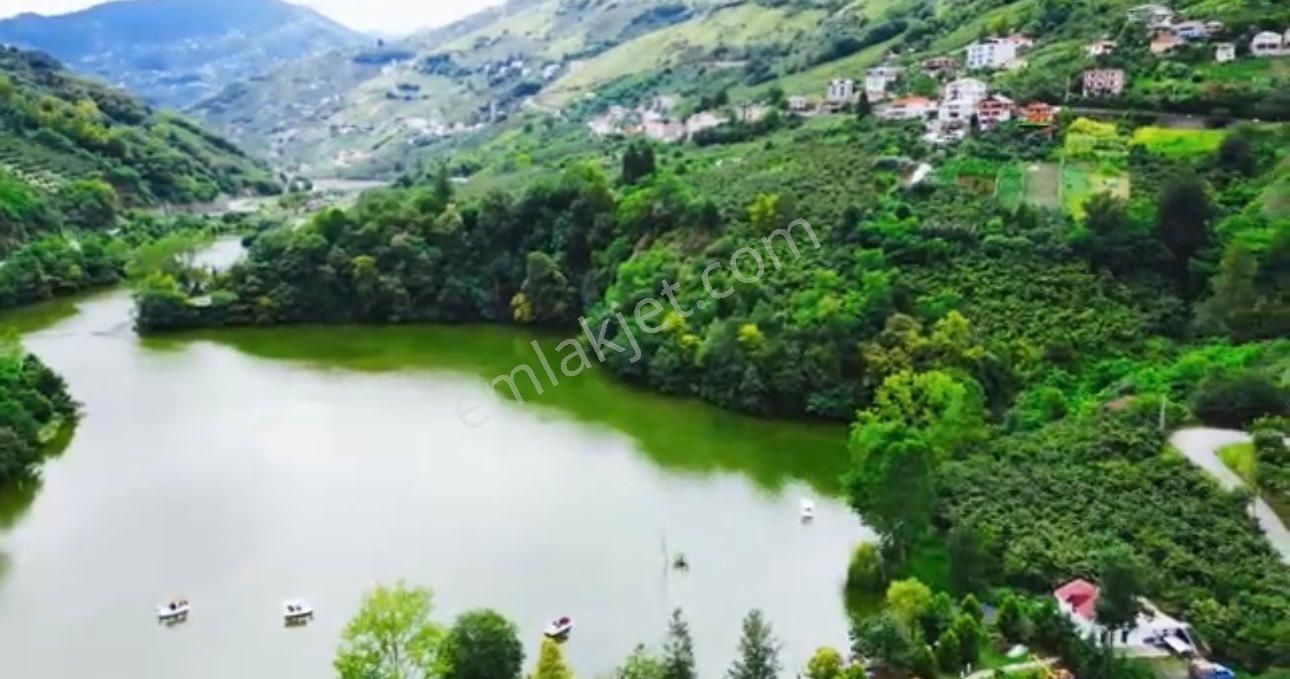 Trabzon Akçaabat Devren Restaurant TRABZON SERAGÖLÜNDE DEVREN SATILIK RESTORAN CAFE