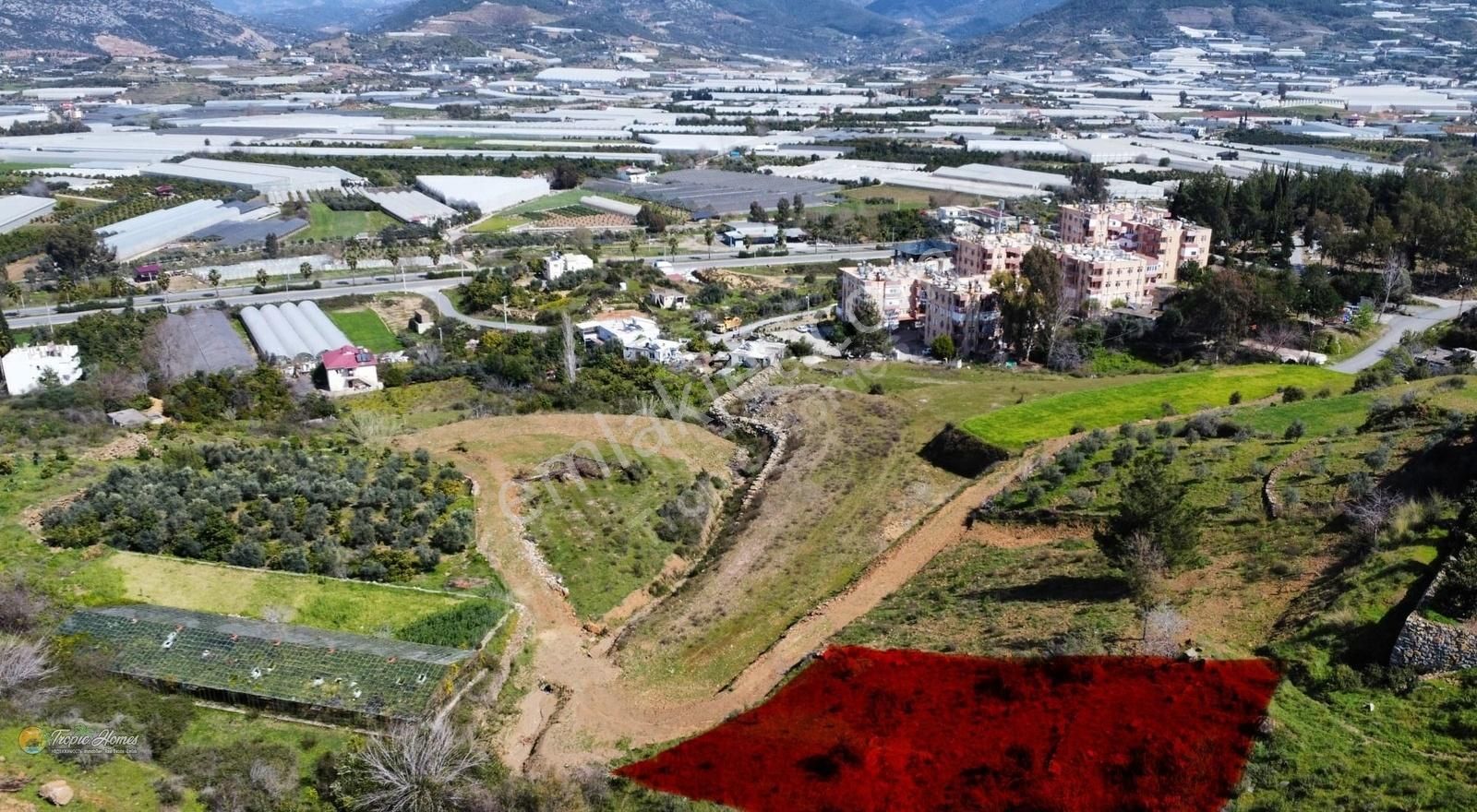 Gazipaşa Ekmel Satılık Villa İmarlı Ekmel Mahallesi'nde Satılık Arsa