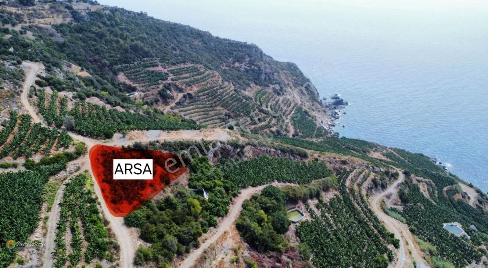 Gazipaşa Zeytinada Satılık Tarla Zeytinada Mahallesi'nde Full Deniz Manzaralı Parsel