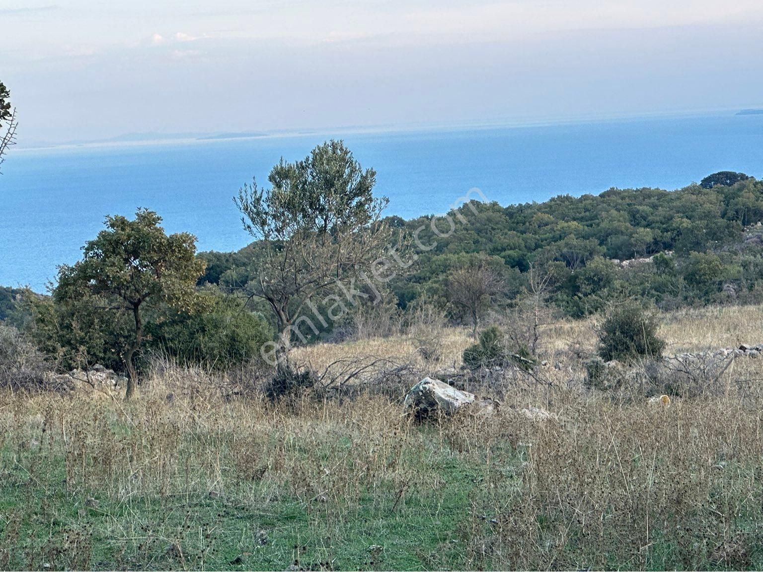 Ayvacık Balabanlı Köyü Satılık Tarla Midilli manzaralı muhteşem deniz manzaralı