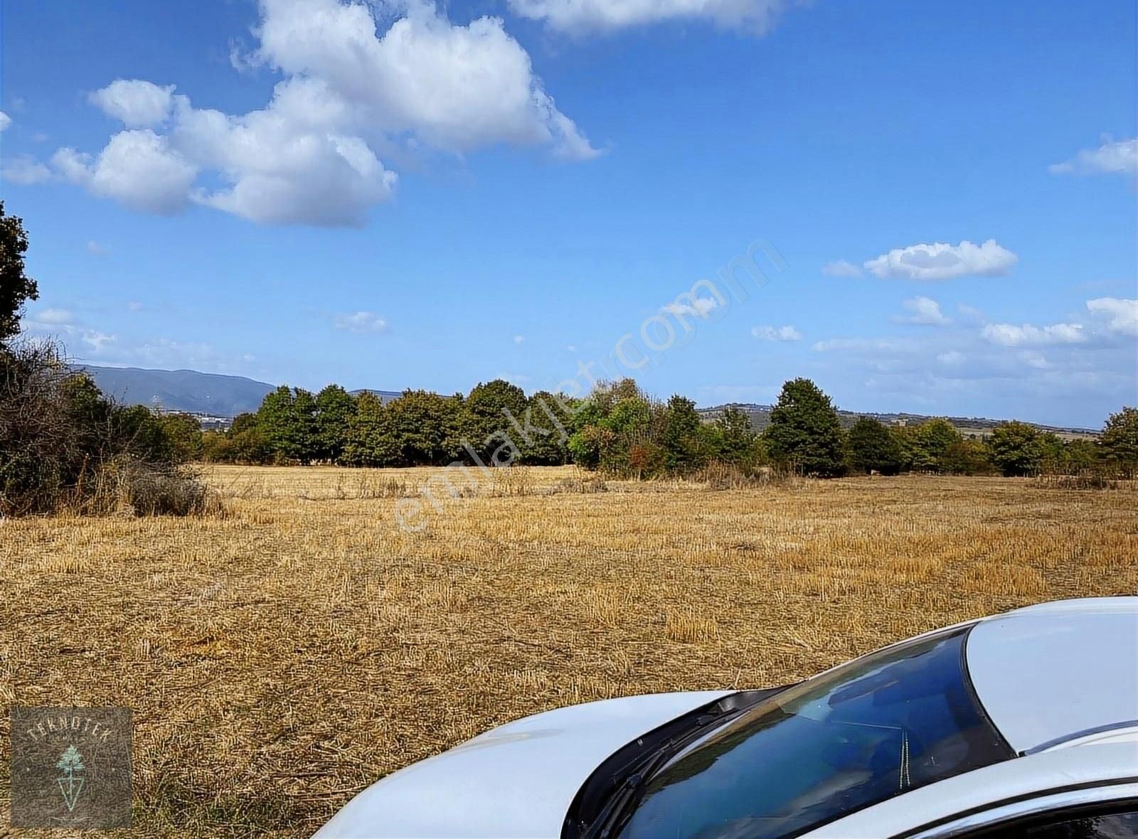 Pazaryeri Fıranlar Köyü Satılık Tarla Fıranlar Köyünde Yola 1 Parsel 4412 M2 Tarla