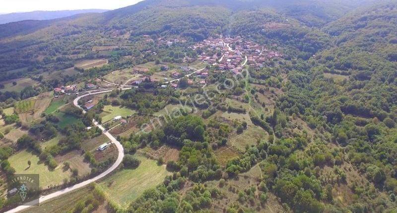 Pazaryeri Fıranlar Köyü Satılık Tarla FIRANLAR KÖYÜNDE 1456 M2 YATIRIM FIRSATI