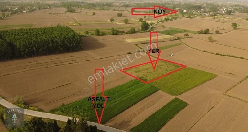 Akyazı Sukenarı Satılık Tarla Sakarya Akyazı Sukenarı Asfalt Yola Yakın 2.740 M2 Tarla