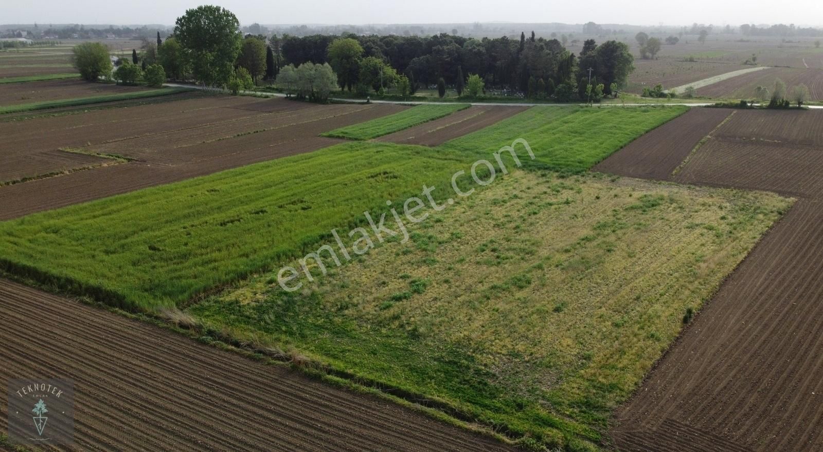 Akyazı Sukenarı Satılık Tarla Sakarya Akyazı Sukenarı 3.000 M2 Tarla