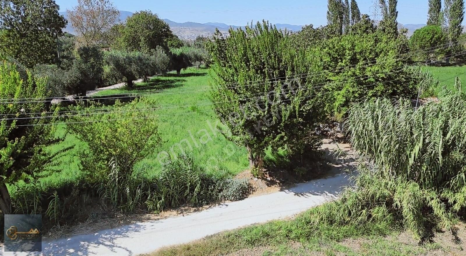 Golden Keys Real Estate İzmir Bergama Atatürk Mahallesi Satılık Tarla