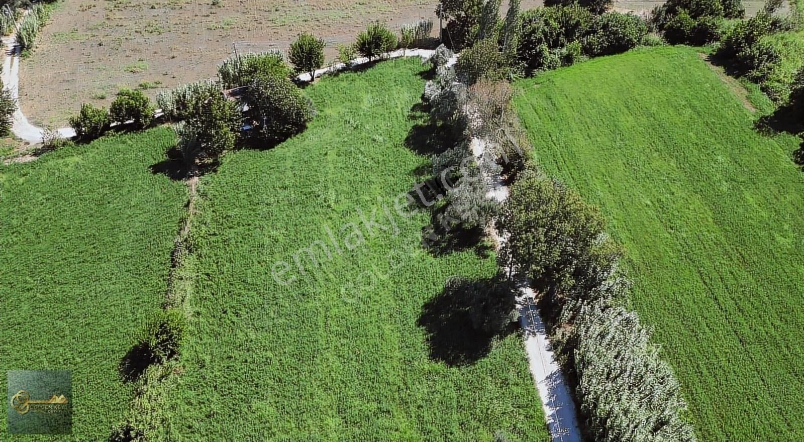 Bergama Atatürk Satılık Tarla BERGAMA ATATÜRK BAĞLAR MEVKİİ MUHTEŞEM İÇİNDE EV OLAN TARLA