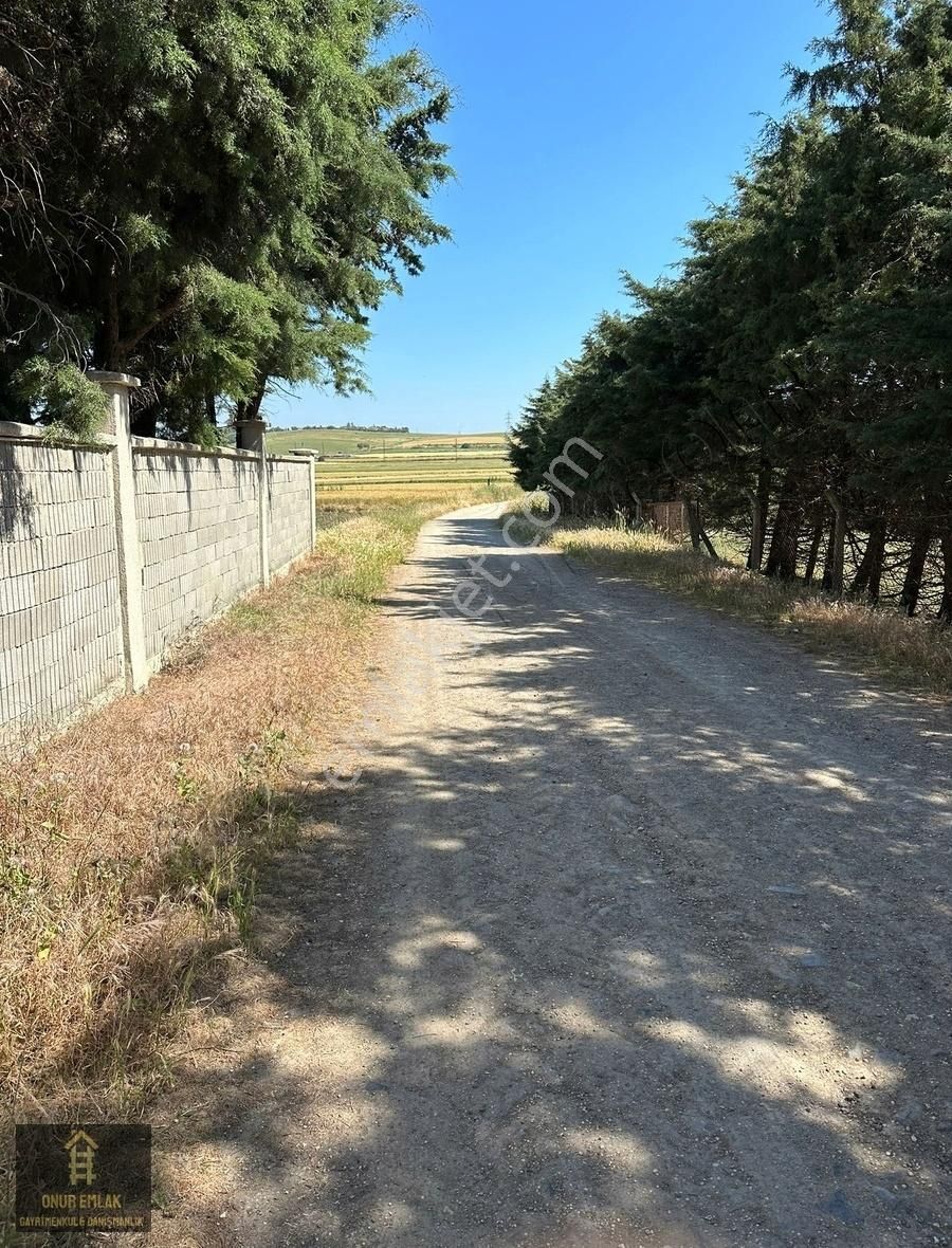 Silivri Seymen'de Kadastro Yola Cephe Satılık 22 Dönüm Tarla - Görsel 9