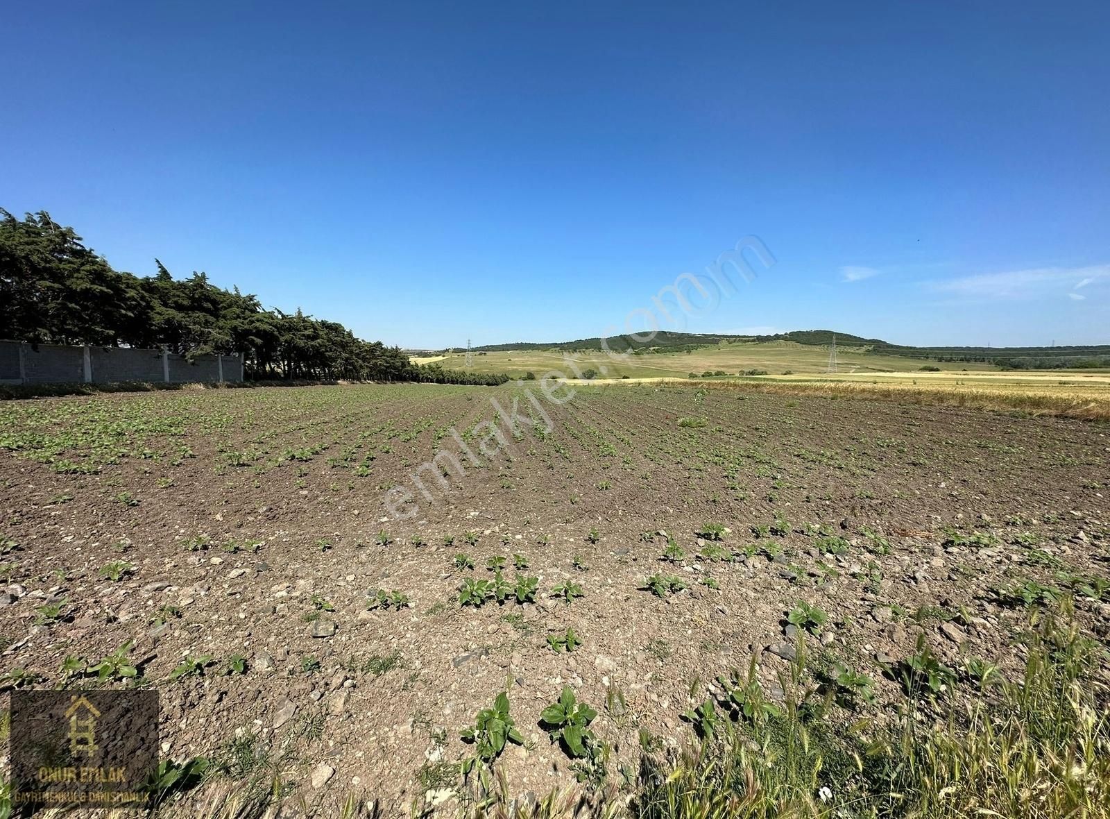 Silivri Seymen'de Kadastro Yola Cephe Satılık 22 Dönüm Tarla - Görsel 5