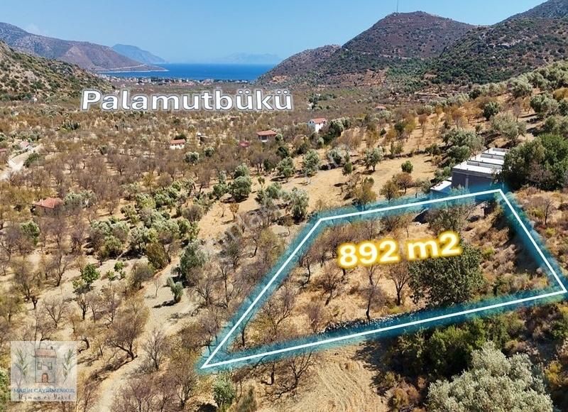 Datça Cumalı Satılık Tarla Marinden Palamutbükü'nde Full Deniz Manzaralı 892m2 Bademlik