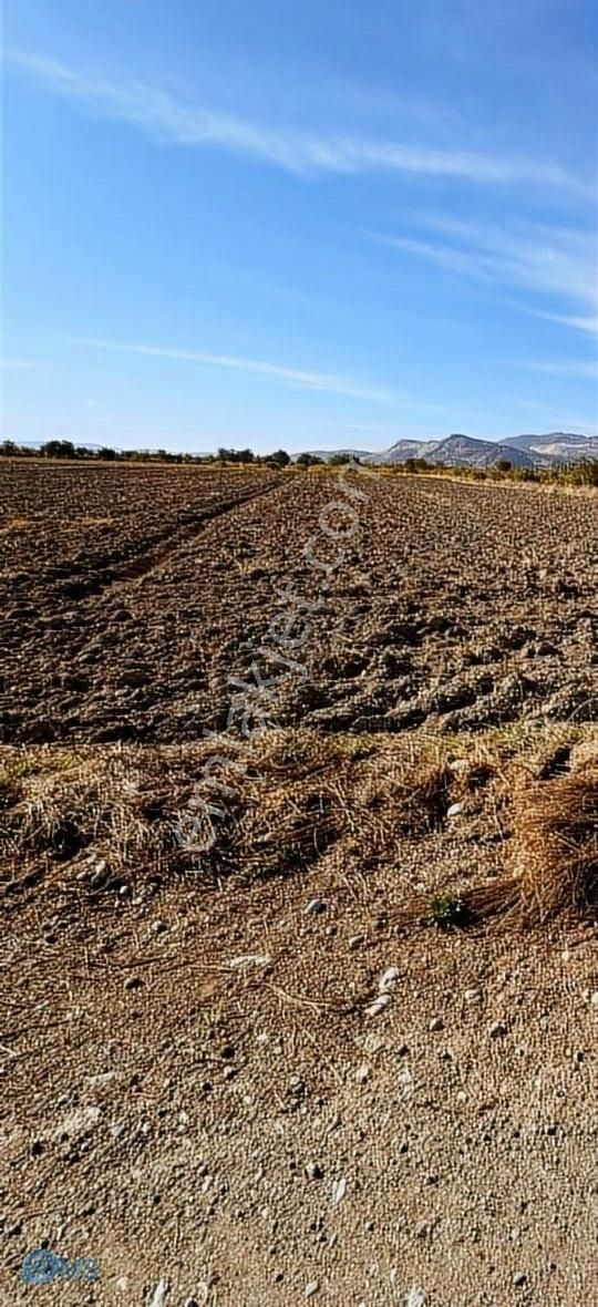 Döşemealtı Ekşili Satılık Tarla Yatırımlık 2650 metre tek tapu tarla