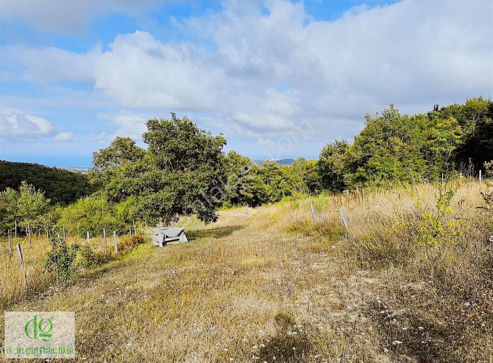 Atakum Çatmaoluk Satılık Konut İmarlı Çatmaoluk'ta Full Deniz Manzaralı 1758 M2 Bulunmaz Fırsat Tarla