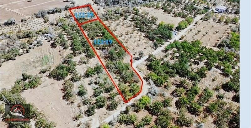 Baskil Şefkat Satılık Tarla [ACG] BASKİL ŞEFKAT'TE 3.700m2 + 1.000m2 SATILIK TARLALAR