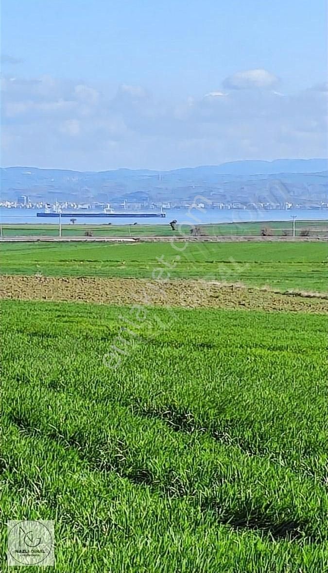 Gelibolu Sütlüce Köyü Satılık Tarla ÇANAKKALE GELİBOLU SÜTLÜCE DENİZ MANZARALI MUHTEŞEM FIRSAT