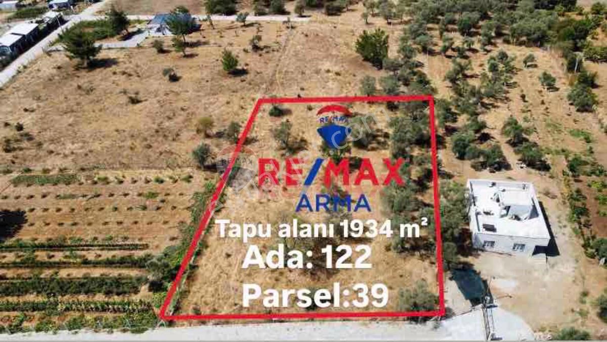 Torbalı Dirmil Satılık Zeytinlik Remax Arma’dan Dirmil’de Satılık Süper Zeytinlik 