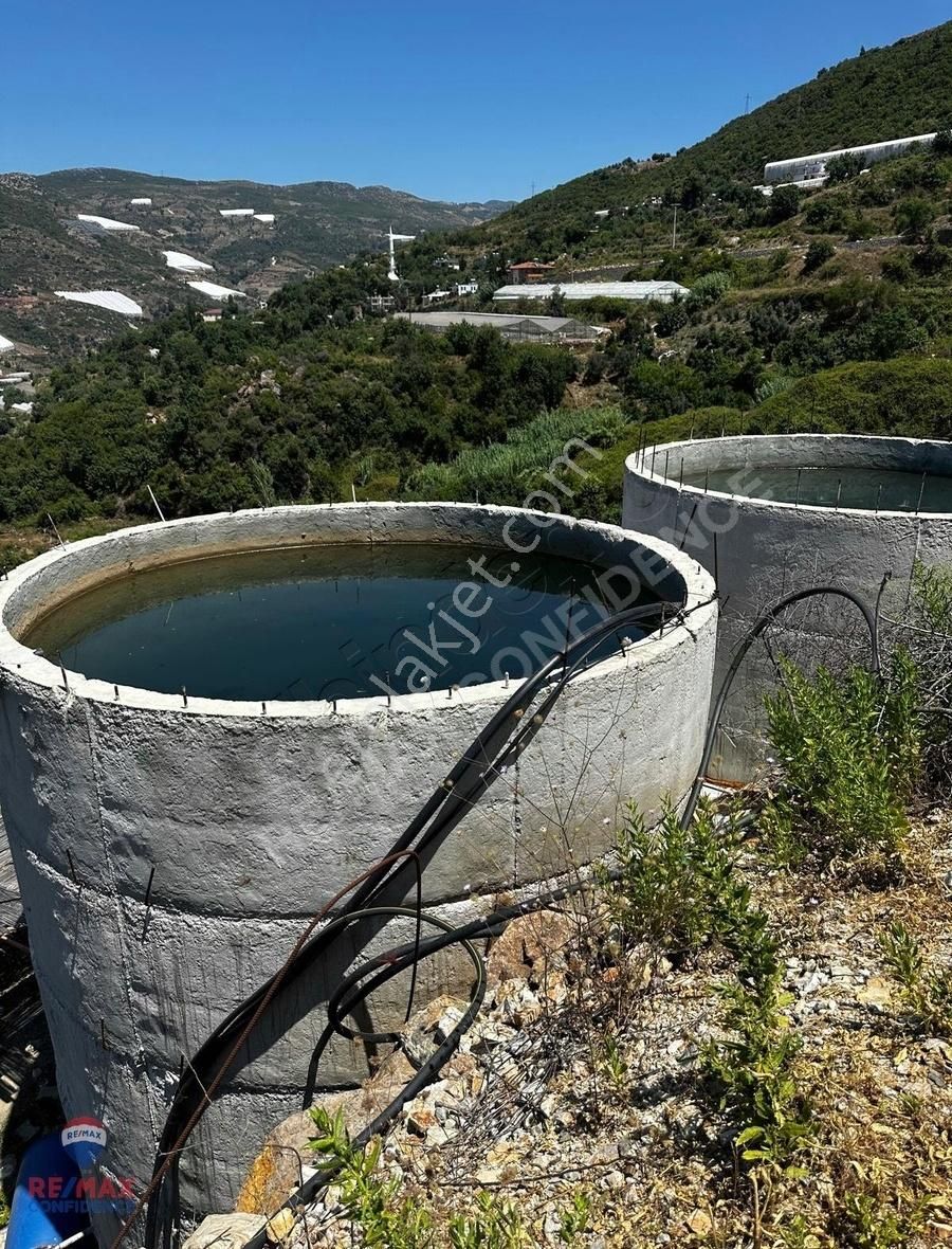 Alanya Soğukpınar Satılık Tarla ALANYA SOĞUKPINAR KÖYÜNDE SATILIK AVOKADO BAHÇESİ