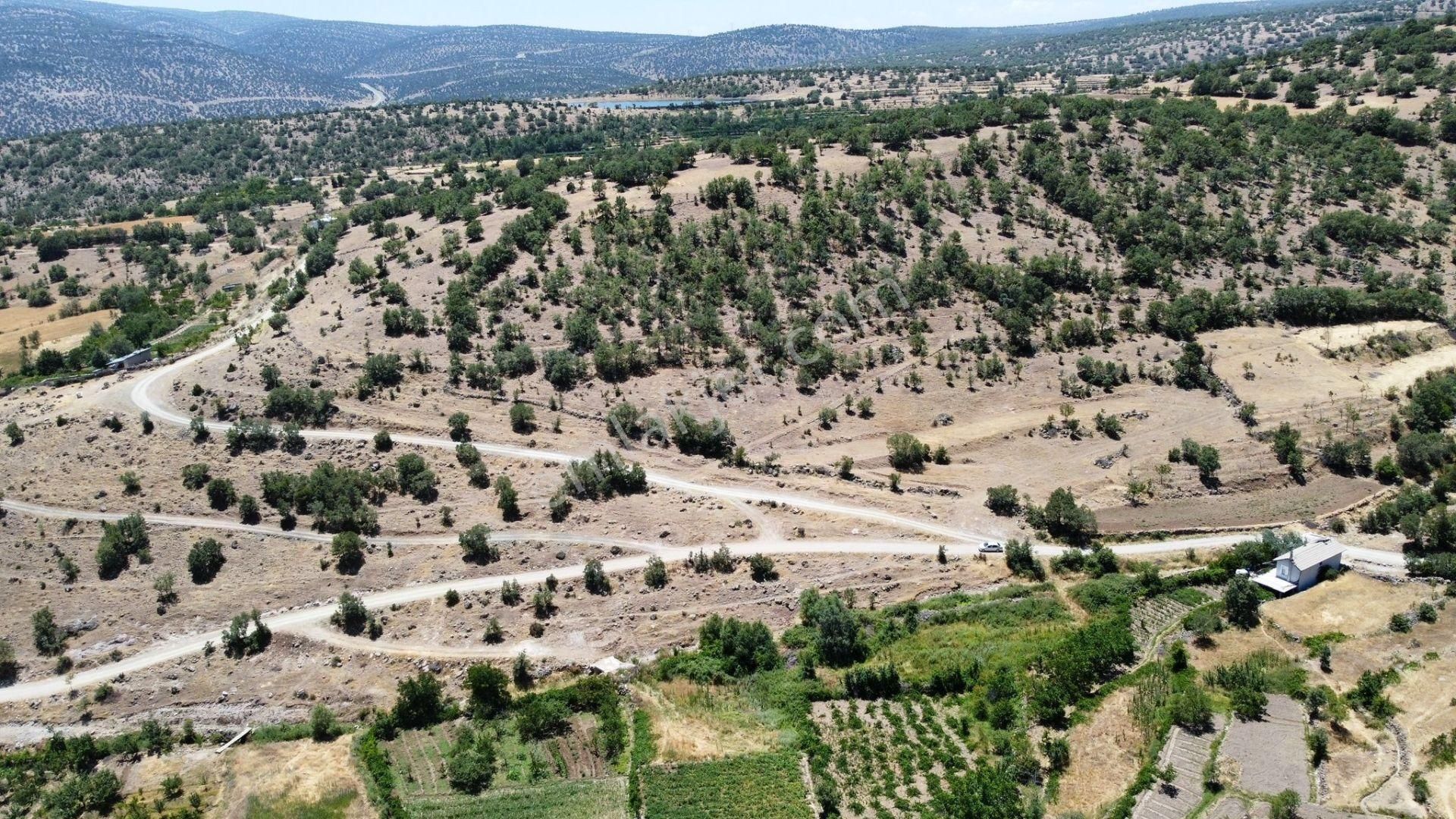 Meram Çukurçimen Satılık Tarla KONYA MERAM ÇUKURÇİMEN DE YERİ DÜZ YOLU OLAN YEŞİLLİKLER İÇERİSİNDE BAHÇE