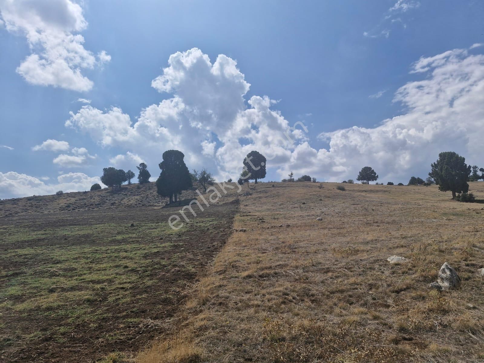 Altınyayla Ballık Köyü (Merkez) Satılık Tarla  Burdur Altınyayla Ballık Köyünde 193m2 Yatırımlık Tarla 