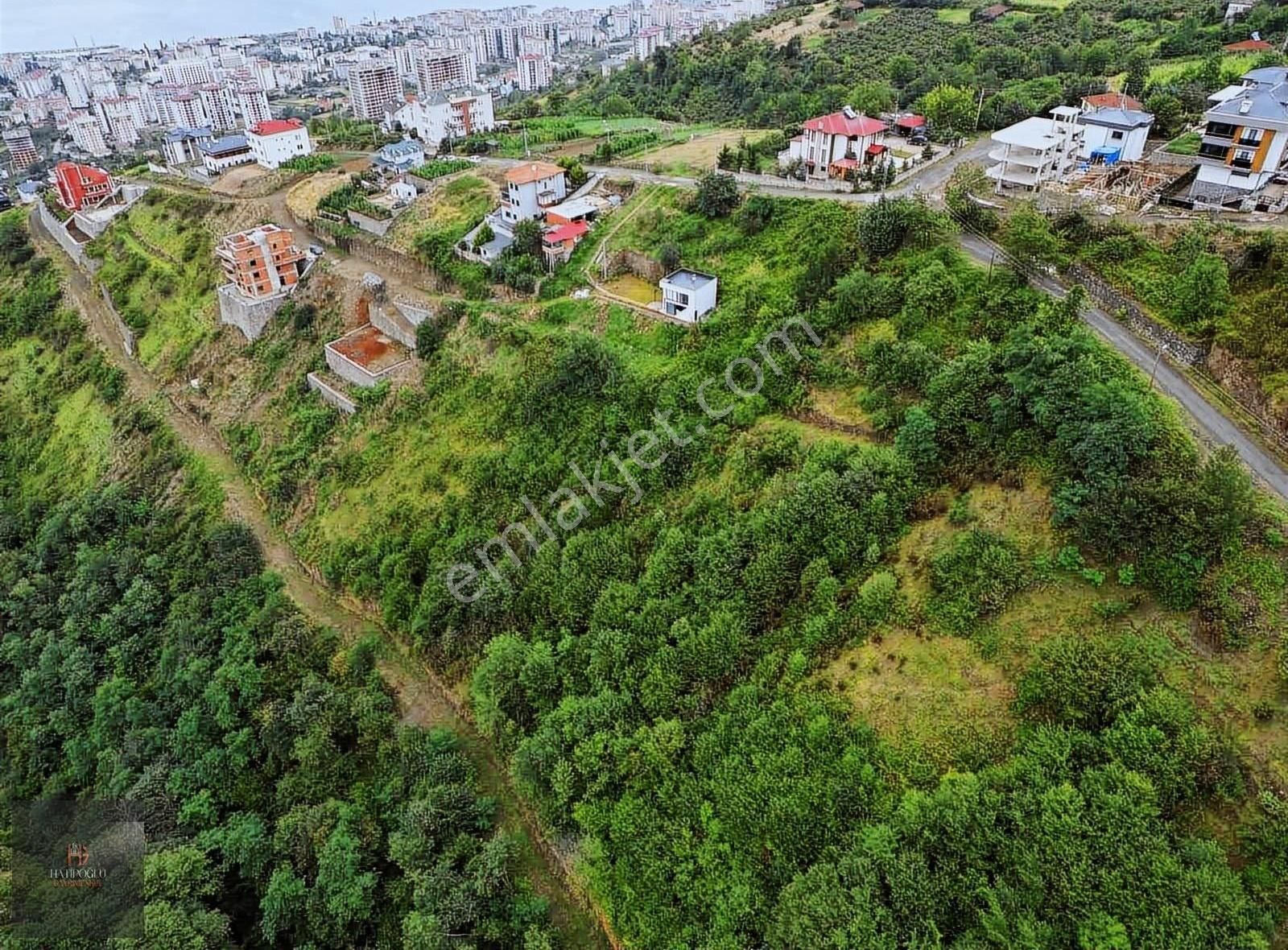 Akçaabat Söğütlü Satılık Konut İmarlı HATİPOĞLU GAYRİMENKULDEN SÖĞÜTLÜDE SATILIK 524 M2 ARSA