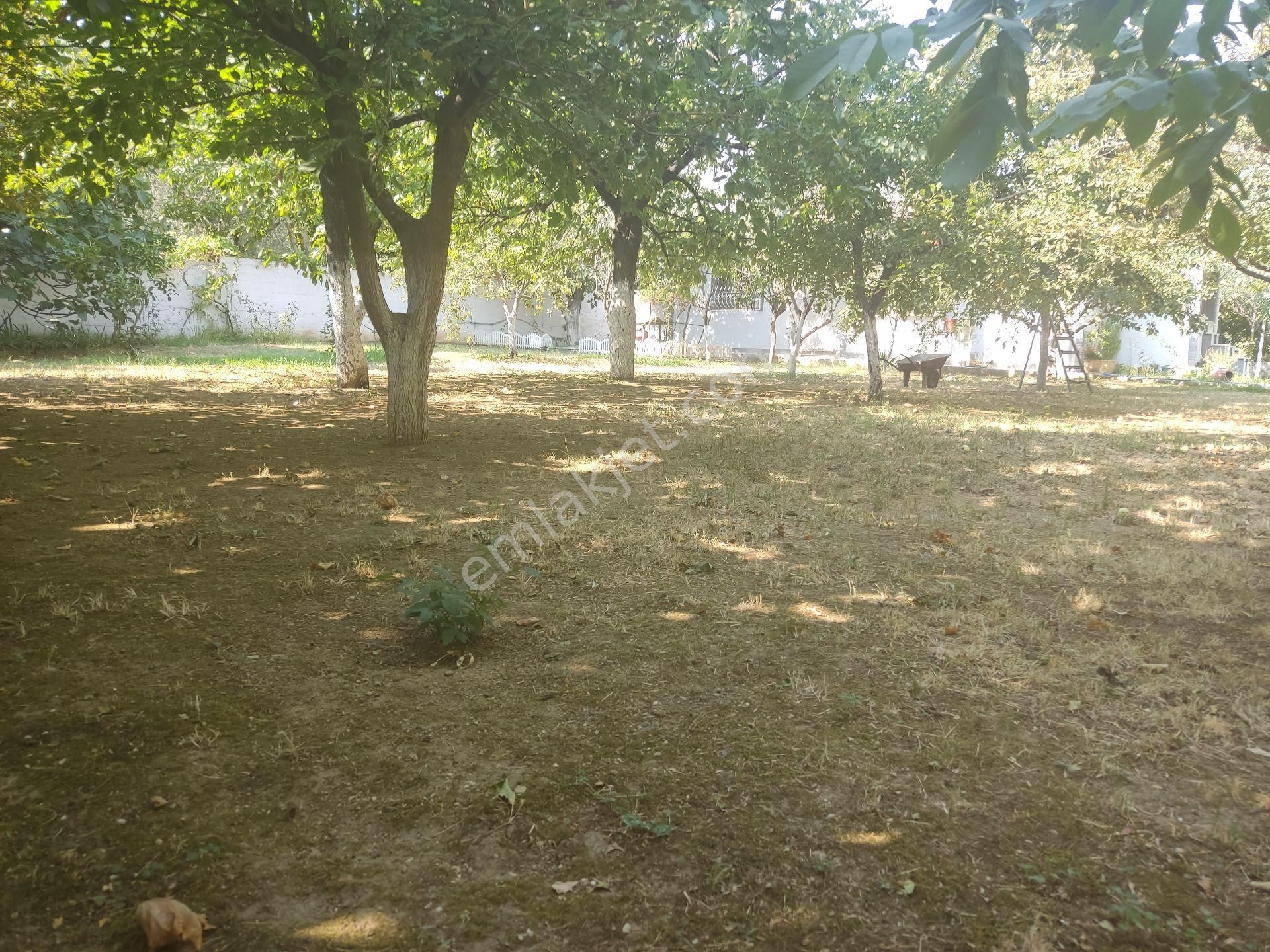 Yakamoz Emlak'tan Büyük Kumla'da Satılık 2+1 Müstakil Ev - Görsel 15