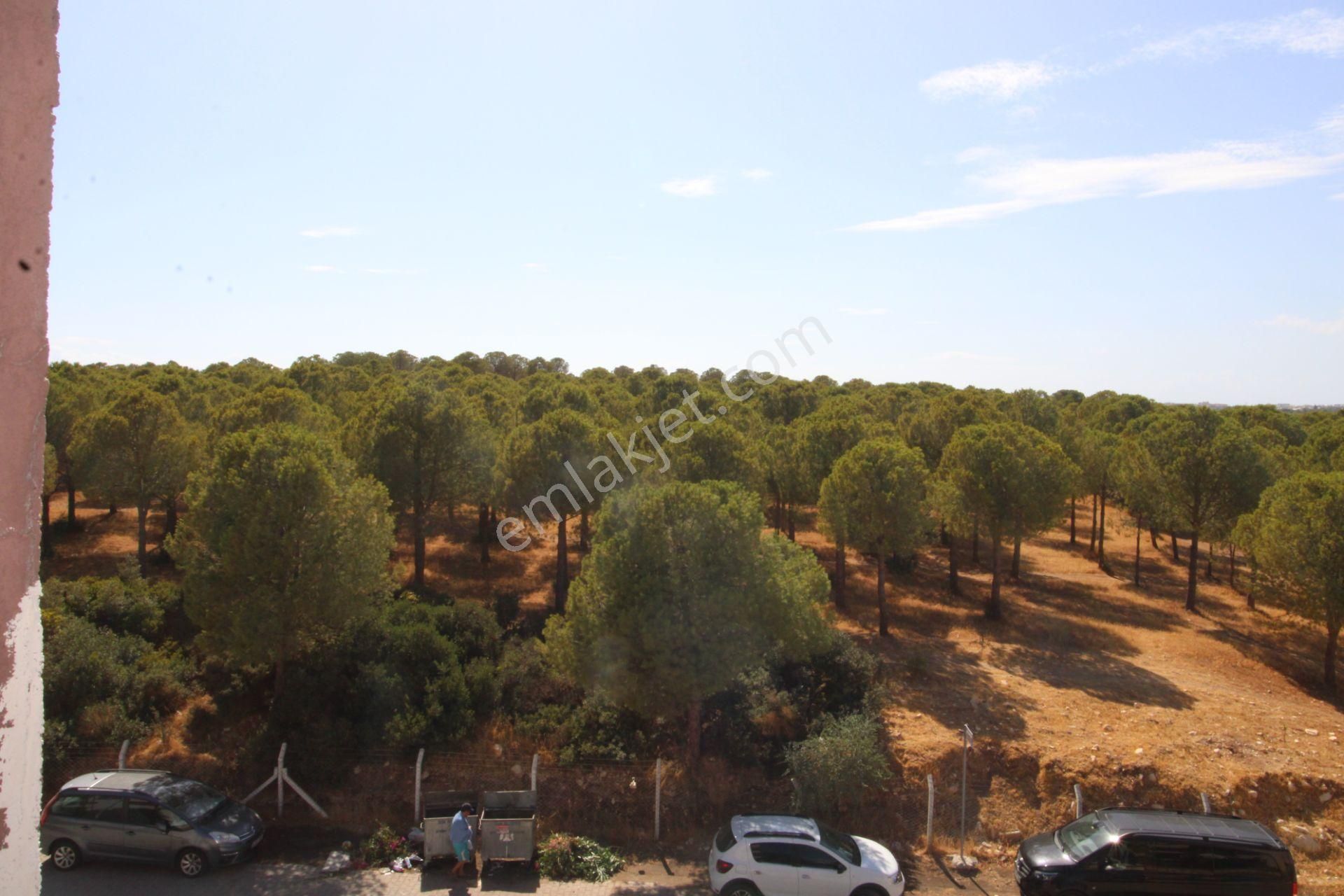 Aydın Didim Altınkum Mahallesi Denize 200 Metre Mesafede2+1 Daire Orman Ve Doğa Manzaralı - Görsel 23