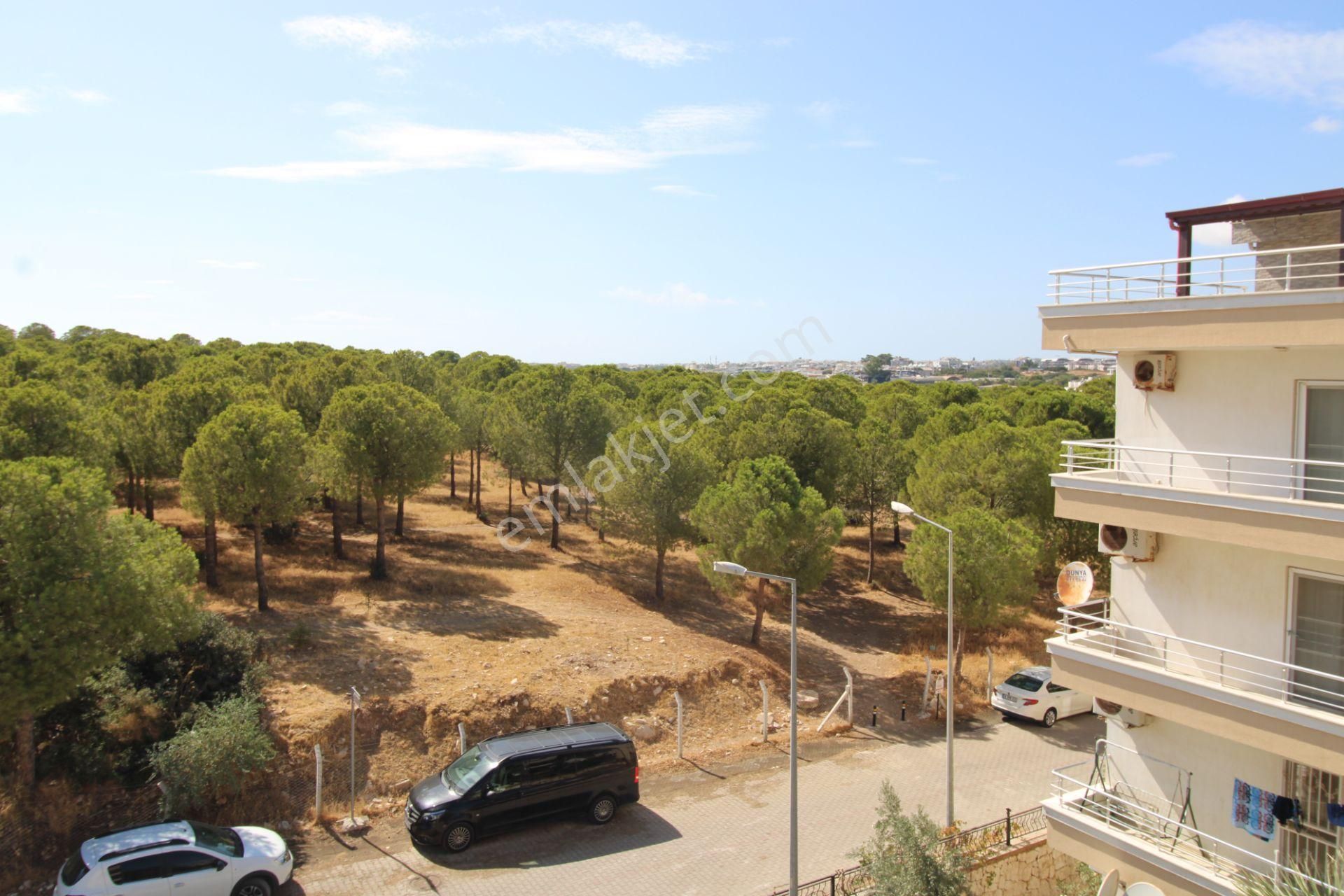 Aydın Didim Altınkum Mahallesi Denize 200 Metre Mesafede2+1 Daire Orman Ve Doğa Manzaralı - Görsel 24